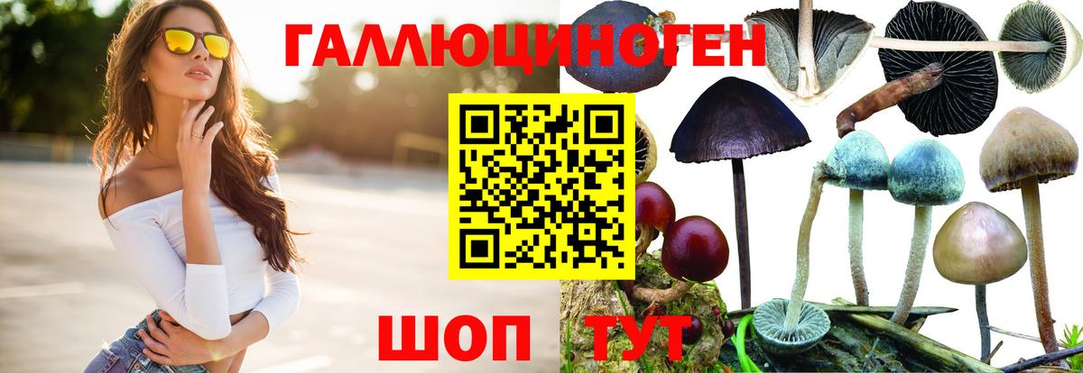 Галлюциногенные грибы GOLDEN TEACHER Печора